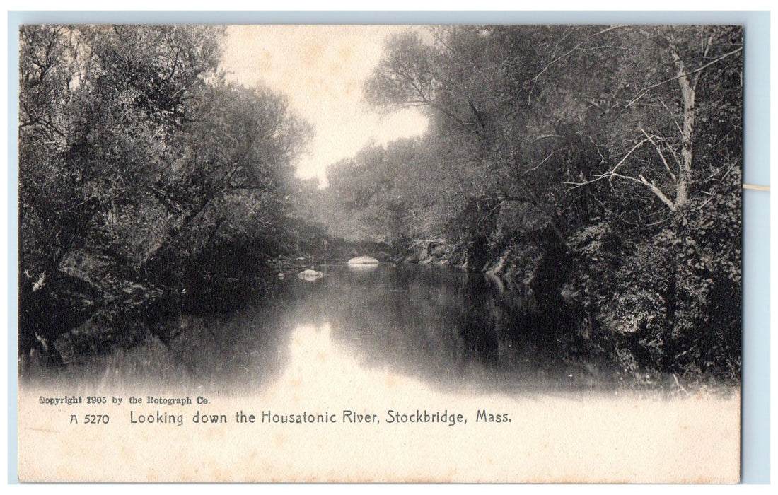 c1905's Looking Down The Housatonic River Stockbridge Massachusetts MA Postcard