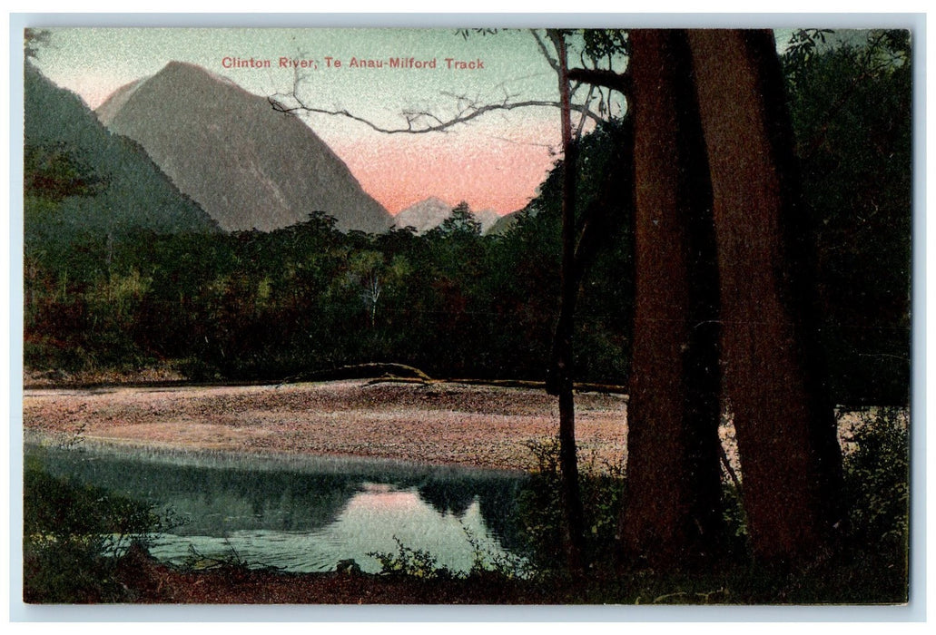 c1950 Clinton River Te Anau Lake Forest Milford Track New Zealand NZ Postcard