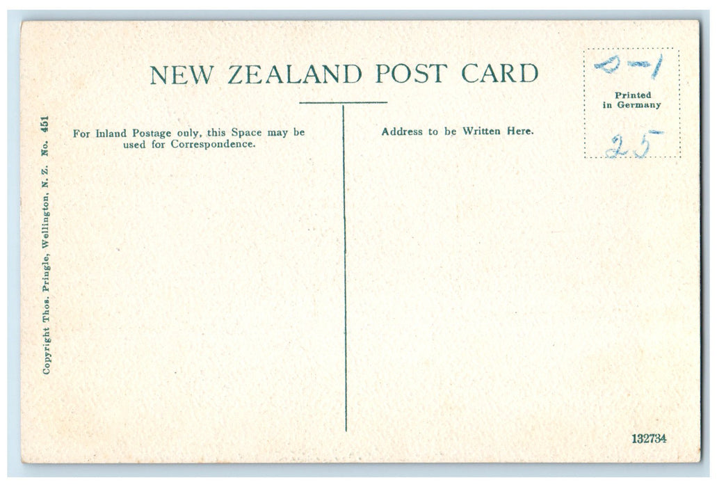 c1950 Clinton River Te Anau Lake Forest Milford Track New Zealand NZ Postcard