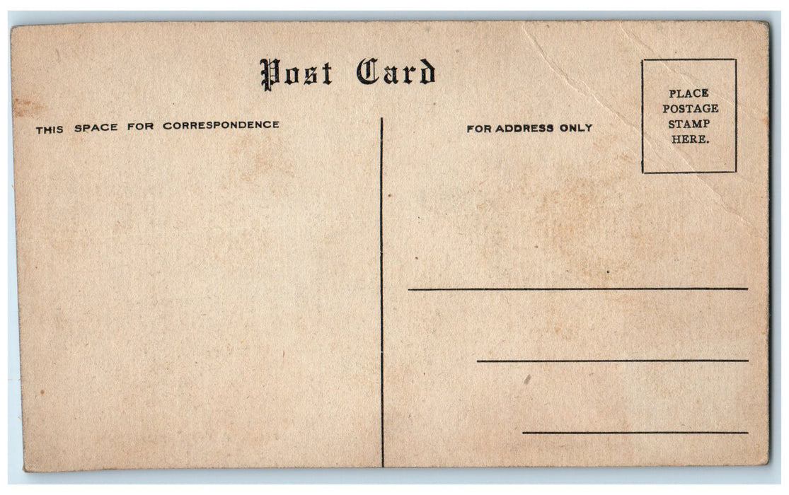 c1910's Invalid's Hotel Exterior Roadside Buffalo New York NY Unposted Postcard