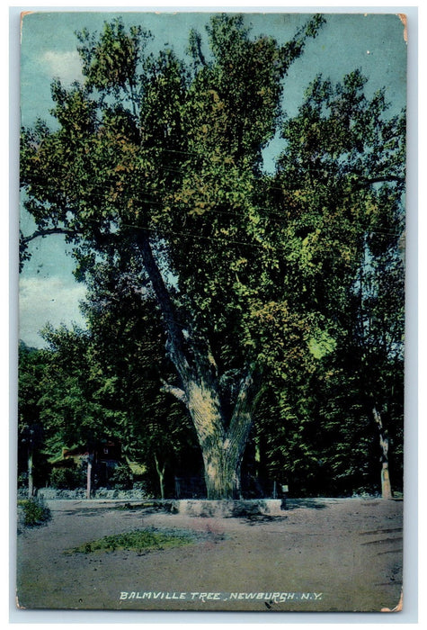 1907 Balmville Tree View Dirt Road Trees House  Newbursh New York NY Postcard
