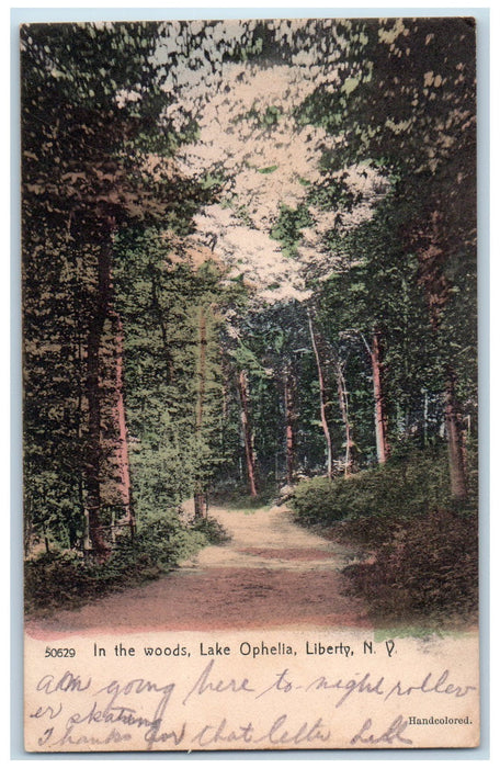 1908 In The Woods Lake Ophelia Dirt Path Forest Liberty New York NY Postcard