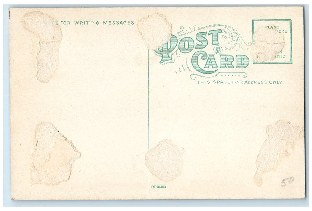 c1950's River View White Sand Path Ferry Garden Docking Sandford FL Postcard