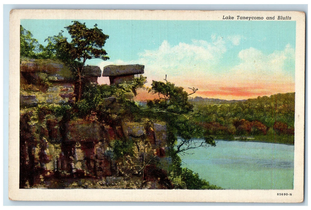 c1950's Lake Taneycomo Bluffs River Stone Formation Forest Missouri MO Postcard