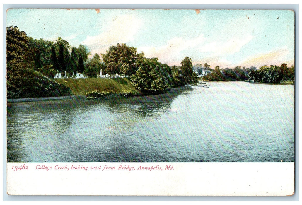 c1905's College Creek West From Bridge View Boats Annapolis Maryland MD Postcard