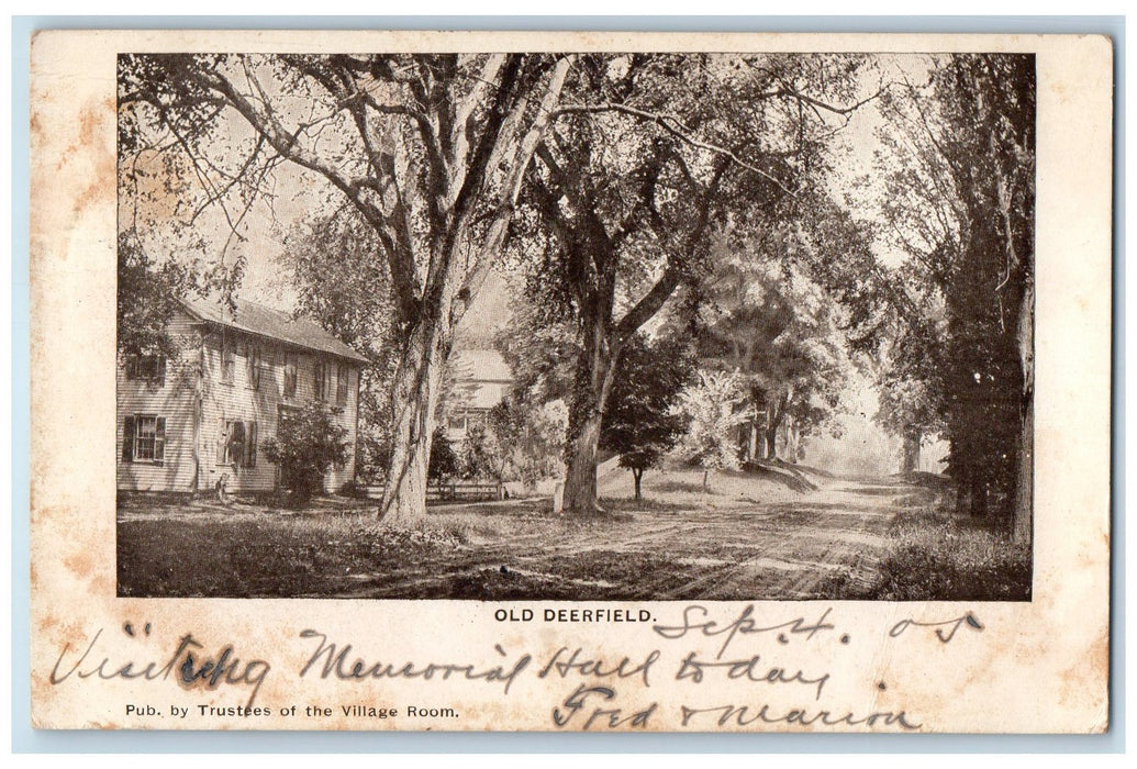 1905 Old Deerfield Dirt Road Lined Trees Street House Massachusetts MA Postcard