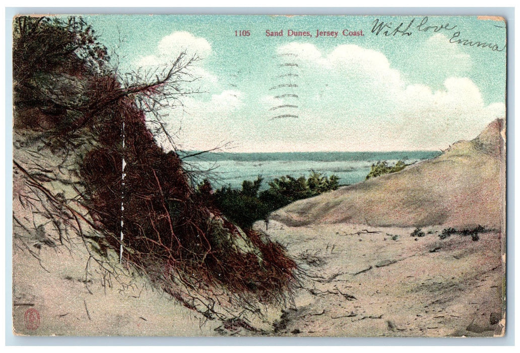 1906 Sand Dunes Plants Scene Jersey Coast New Jersey NJ Posted Vintage Postcard