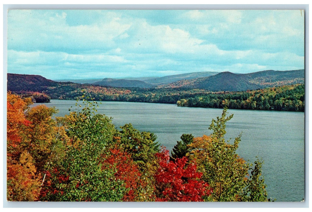 c1950 Lake Morey Mountain Forest Clear Water Fairlee Vermont VT Vintage Postcard