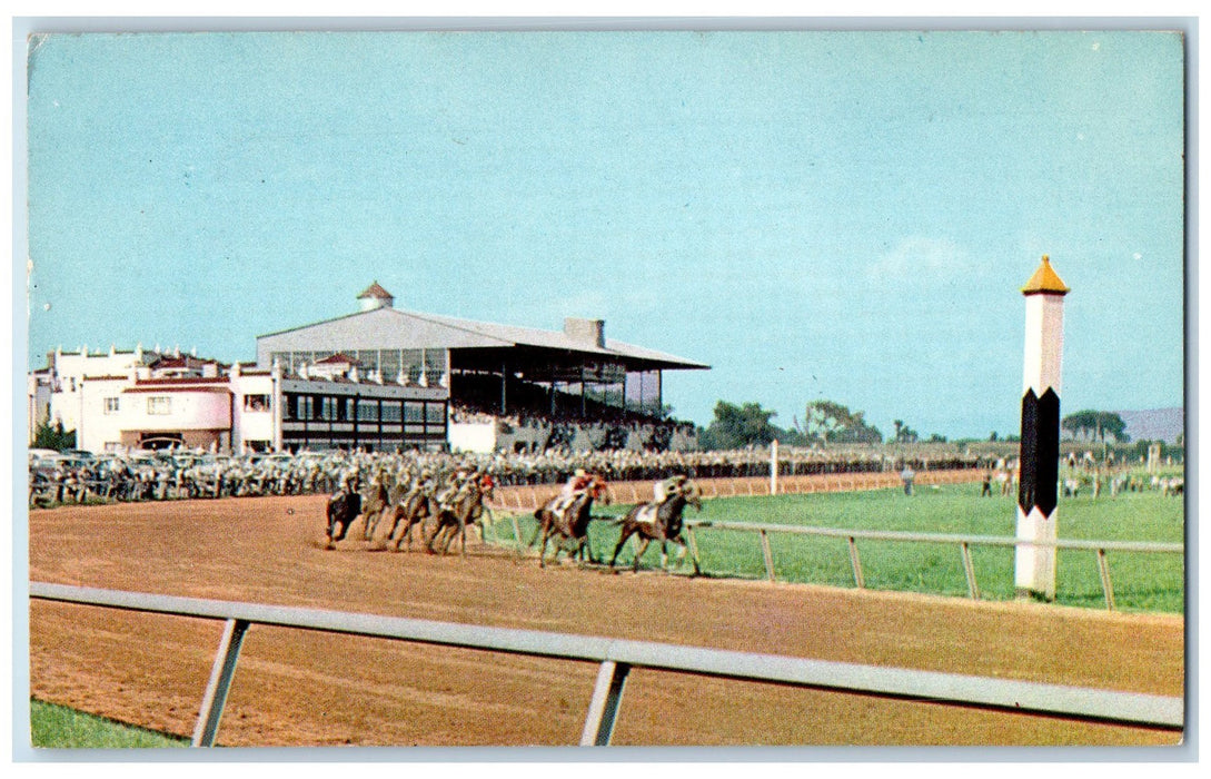 1959 Charles Town Race Track Horse Racing Scene West Virginia VA Posted Postcard