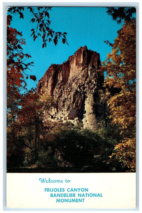 1974 Frijoles Canyon Bandelier Trees National Monument New Mexico NM Postcard