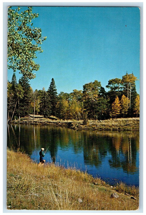 c1950's Conjilon Lake River Fishing With Dog Near Conjilon New Mexico  Postcard