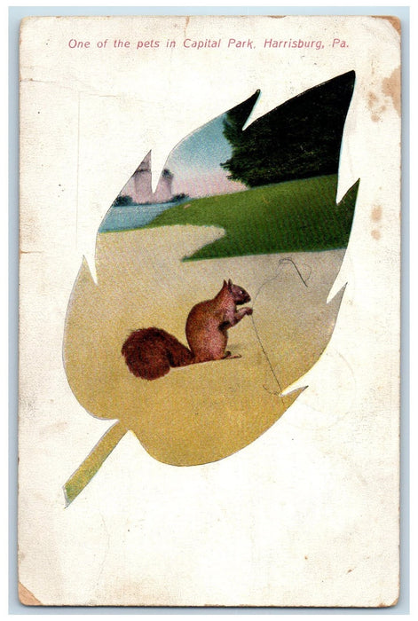1909 One Of The Pets In Capital Park Harrisburg Pennsylvania PA Posted Postcard