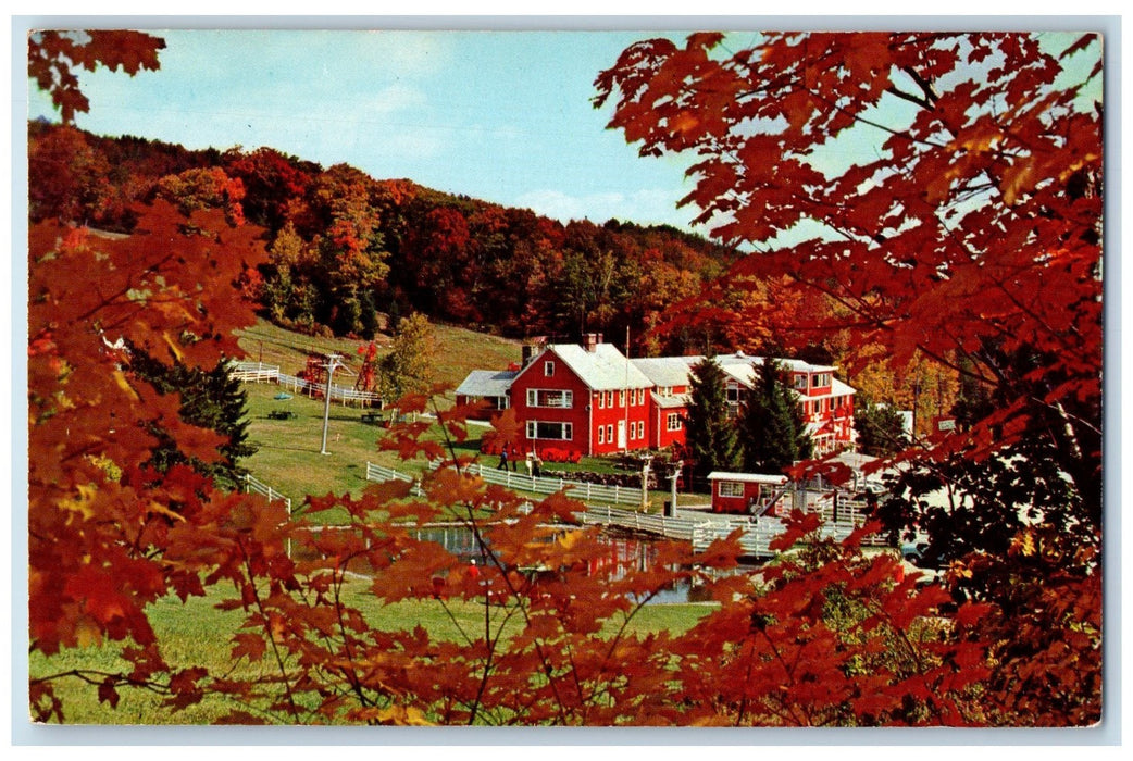 c1950 Autumnal Splendor View Thanks Giving Ground Home Bromley Mount VT Postcard