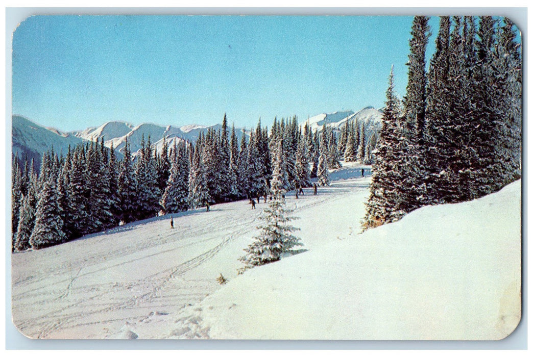 c1950 Deer Park Ski Area Winter Playground Sports Olympic Peninsula WA Postcard