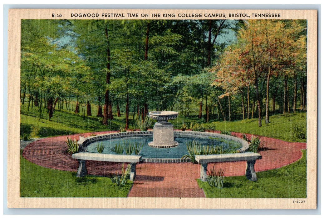 c1940's Dogwood Festival Time On The King College Bristol Tennessee TE Postcard