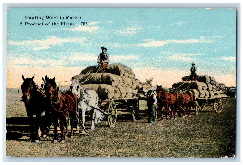 c1910's Hauling Wool To Market A Product Of The Plains Chinook Montana Postcard