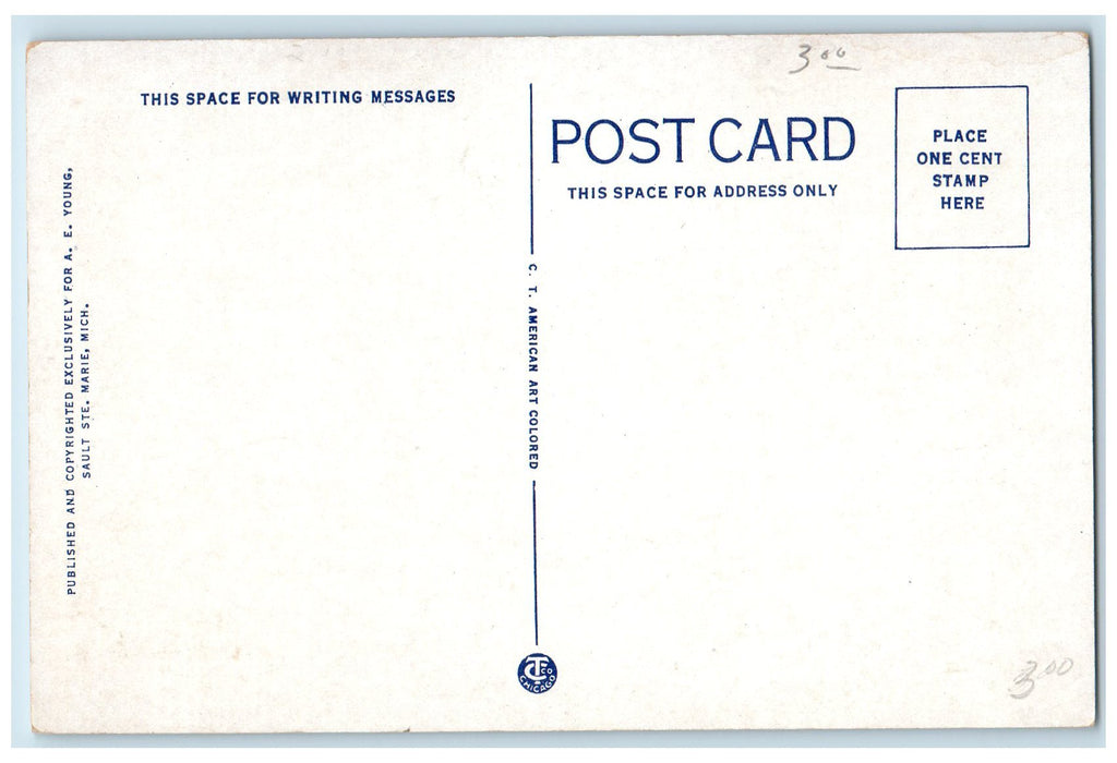 c1920's Passenger Steamer Leaving Poe Lock Sault Ste Marie Michigan MI Postcard