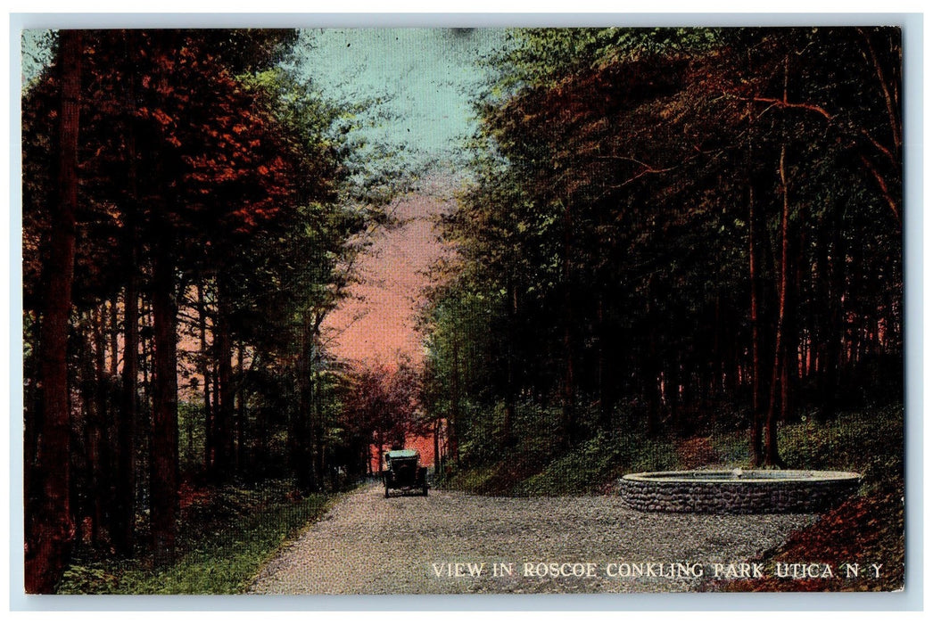 c1910's View in Roscoe Conkling Park Utica New York NY Unposted Vintage Postcard