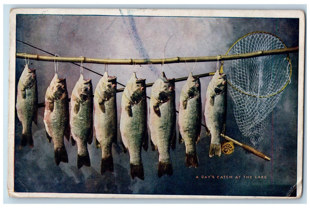 1911 A Day's Catch At The Lake Petoskey Michigan MI Posted Vintage Postcard