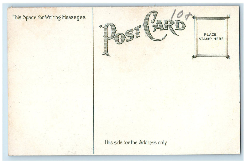 c1910s Lovers' Lane Along The Susquehanna Binghamton New York NY Posted Postcard