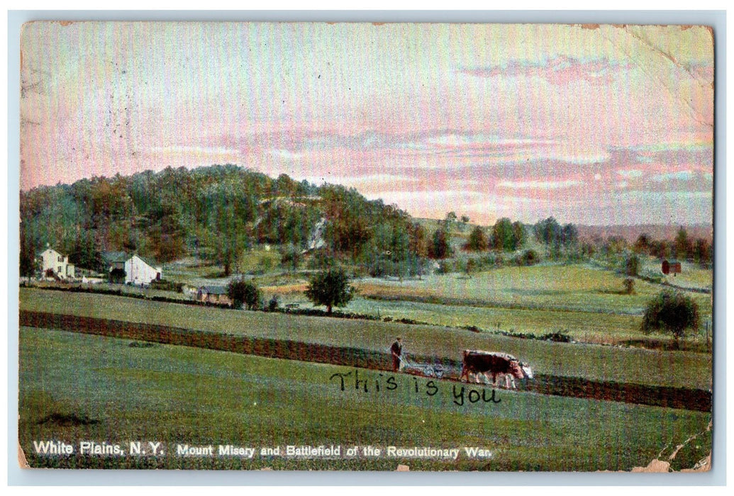 1908 Mount Misery & Battlefield Of Revolutionary War White Plains NY Postcard