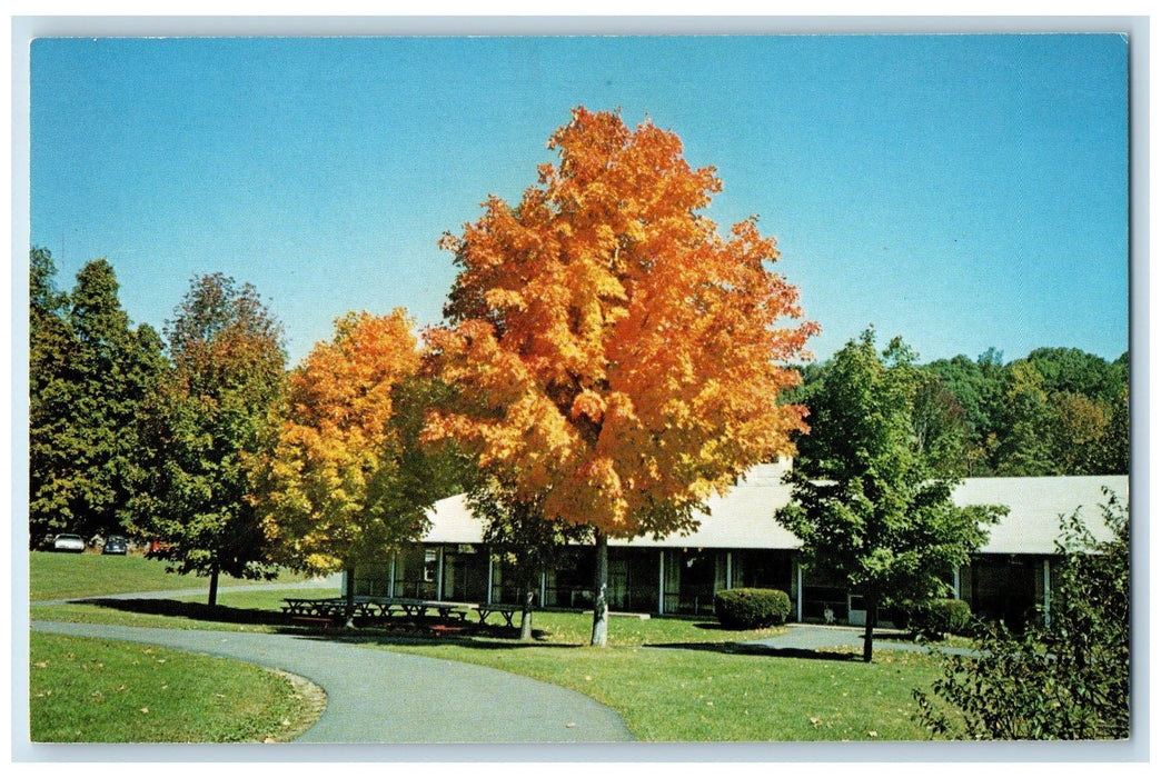 c1950 Stony Point Center Path Tables Chair Classic Cars Stony Point NY Postcard