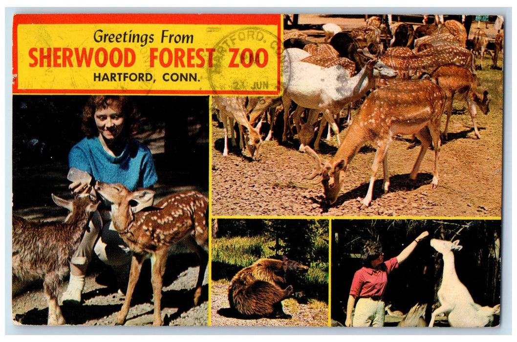 1966 Greetings From Sherwood Forest Zoo Animals Park Hartford CT Posted Postcard