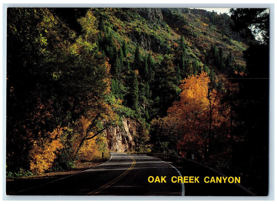 c1950 Oak Creek Canyon Hills Highway Forest Colorful Trees Arizona AZ Postcard