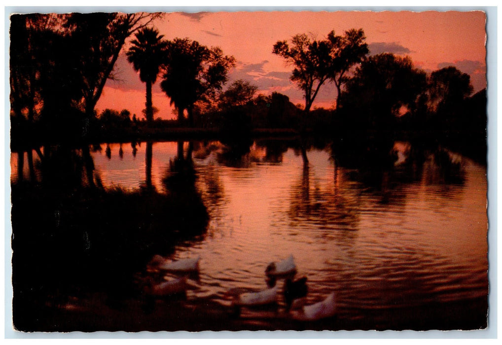 1972 Sunset At Encanto Park Ducks lake Pond Trees Phoenix Arizona AZ Postcard