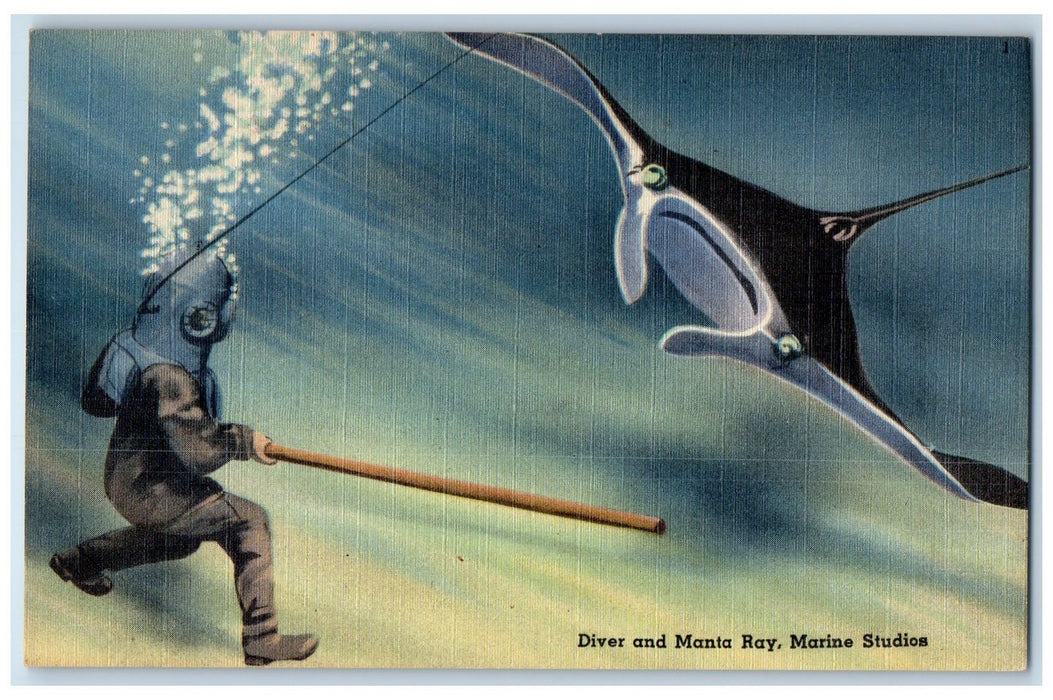 c1950 Diver Manta Ray Attack Underwater Marine Studios Marineland FL Postcard