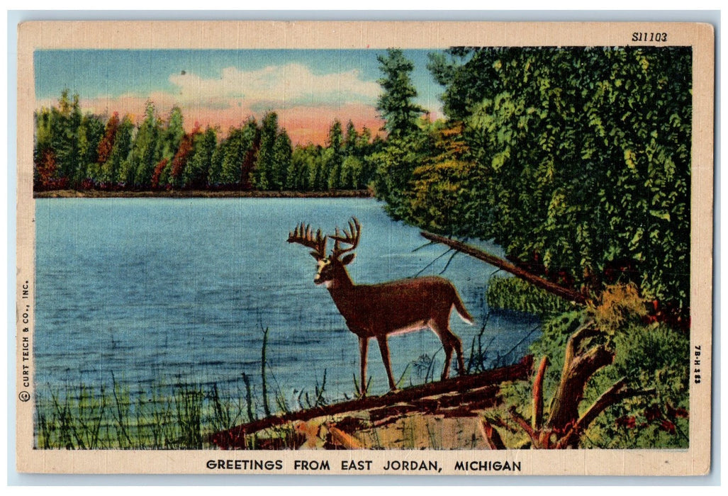1955 Greetings From East Jordan Lake River Deer Forest Michigan MI Postcard
