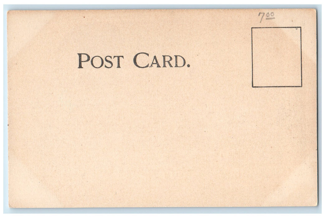 c1905 The Chippewa Market Morning Express View Vendor Buyer Buffalo NY Postcard