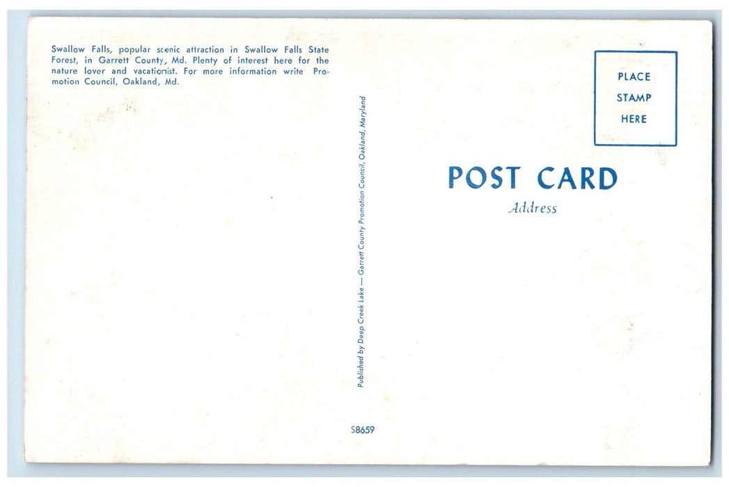 c1950's Scenic Attraction Swallow Falls State Forest Tourist Garrett MD Postcard