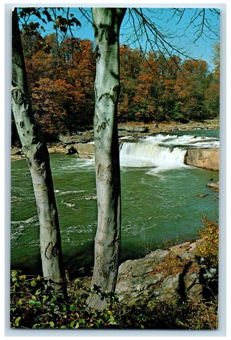 c1950 Ohiopyle Falls River Forest Scenic View Ohiopyle Pennsylvania PA Postcard