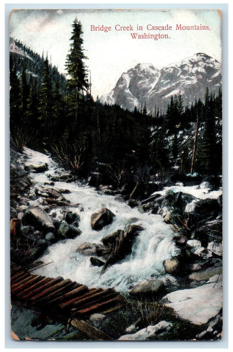 c1950 Bridge Creek Cascade Mountains Winter Forest Clear Water Flow WA Postcard