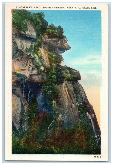 c1950 Caesar's Head Bulwarks Of Blue Ridge Cliff Crest Greenville SC Postcard