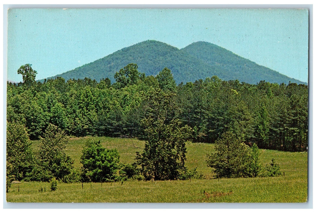 c1950 Twin Peak Kennesaw Mountain National Battlefield Park Marietta GA Postcard