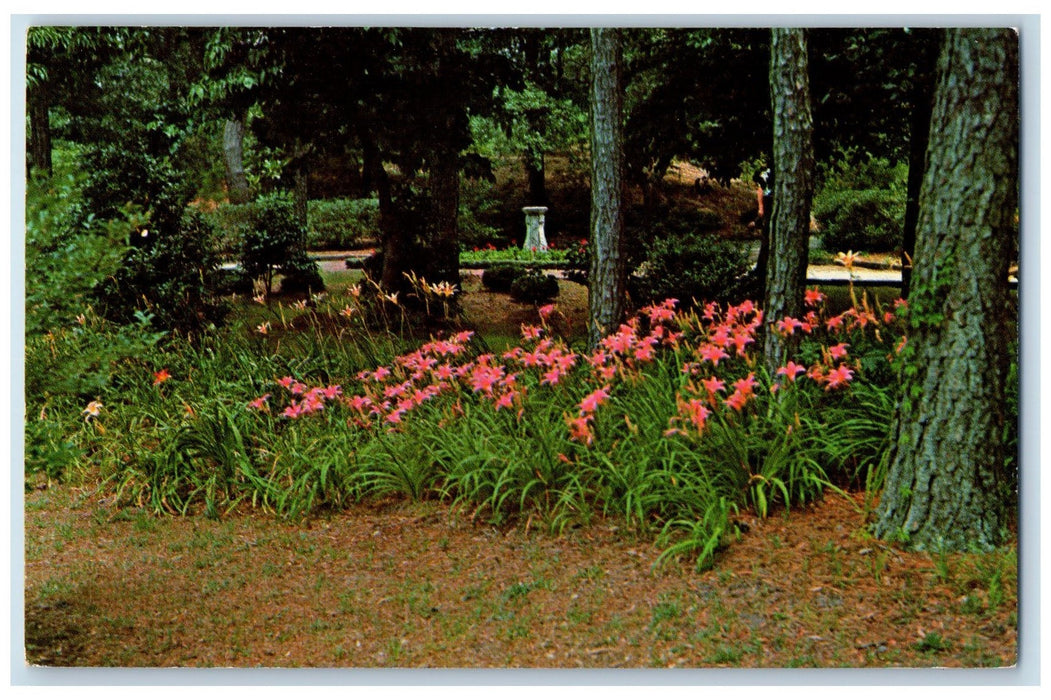 c1950 Outer Banks North Carolina Elizabethian Garden Roanoke Island NC Postcard