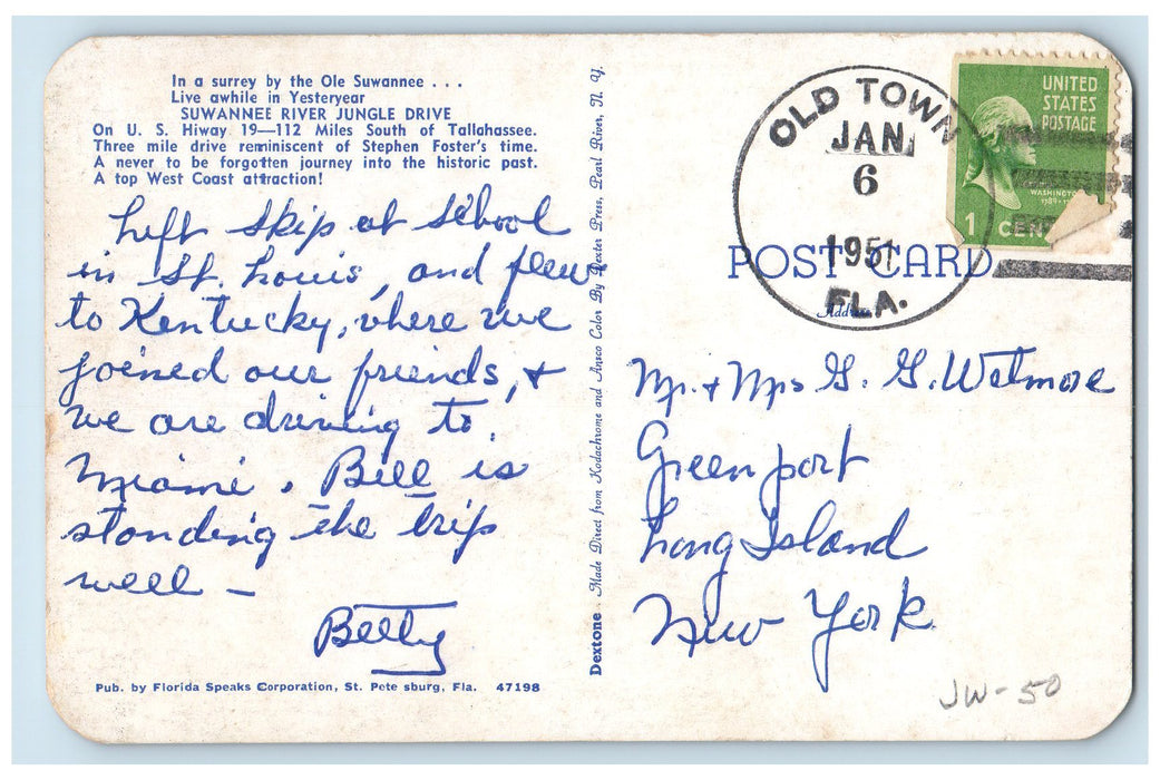 1951 Suwanee River Jungle Drive 19-112 Miles South Tallahassee Posted Postcard