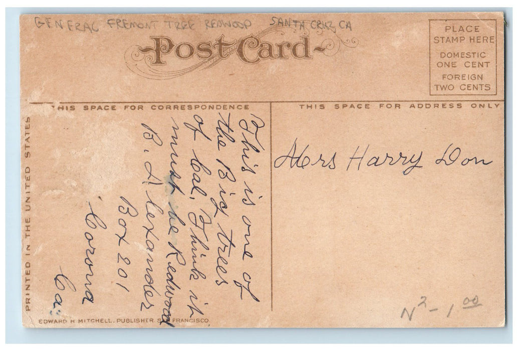 c1910's General Fremont Tree Redwood Santa Cruz California CA Unposted Postcard