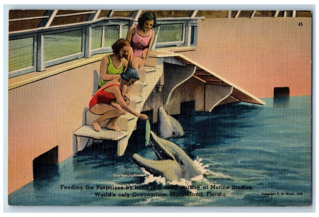 c1940's The Porpoise Family Fed Twice Daily 225 Baker St NW Atlanta Postcard