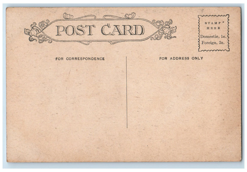 c1920 Orphanage Home Building South View Road Leafless Trees Quincy PA Postcard