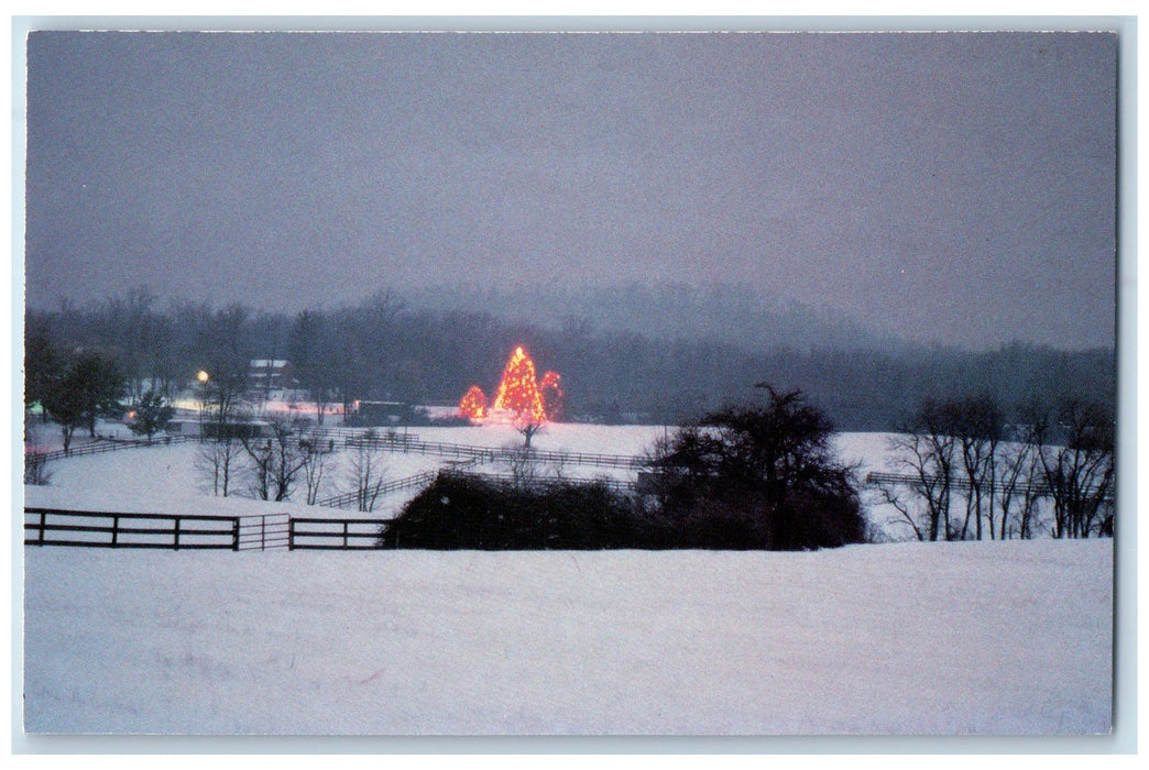 c1950 Cecil County Holly Tree View Lighted Tree Winter Fence Jackson MD Postcard