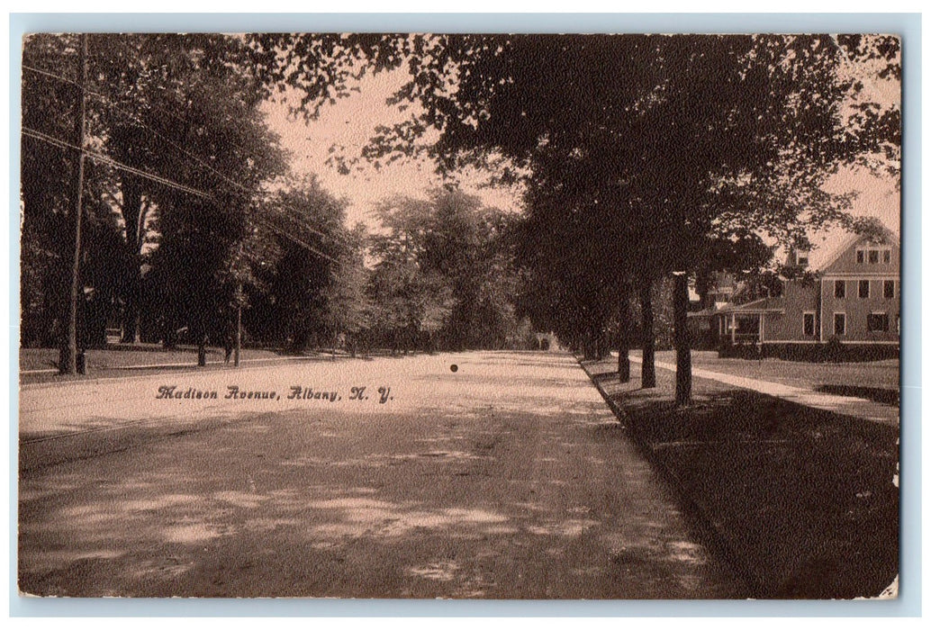 1909 Madison Avenue Dirt Road Lined Trees Houses Albany New York NY Postcard