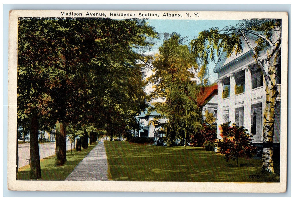 1924 Madison Avenue Residence Section Sidewalk Lined Trees Albany NY Postcard