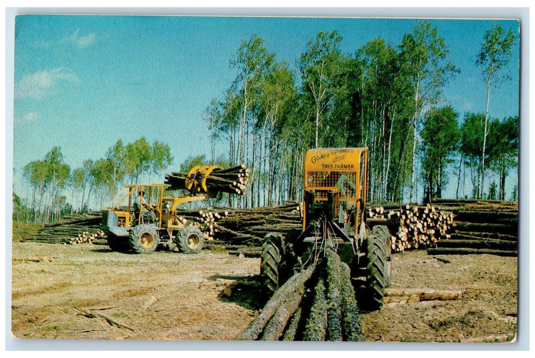 1965 The Old Horse Replaced By Tree Farmer Modern Vehicle Buffalo NY Postcard