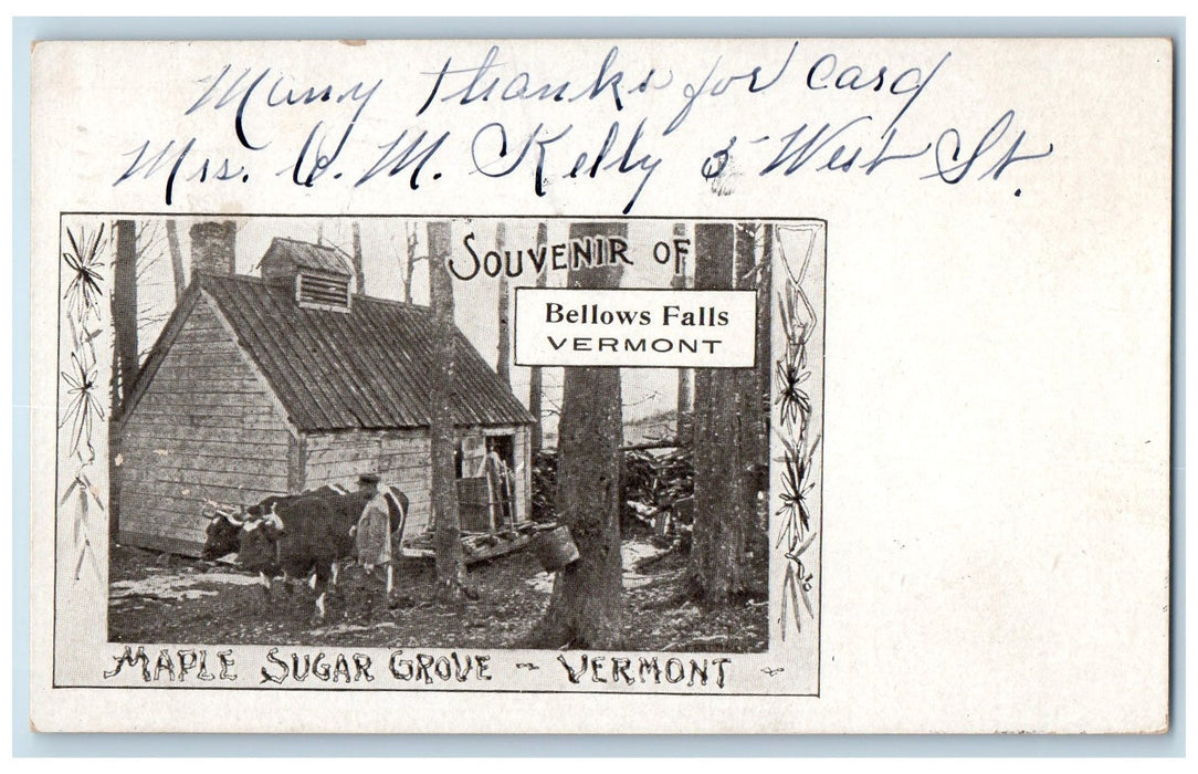 1905 Souvenir Of Bellows Falls Vermont Man Cow Maple Sugar Grove VT Postcard