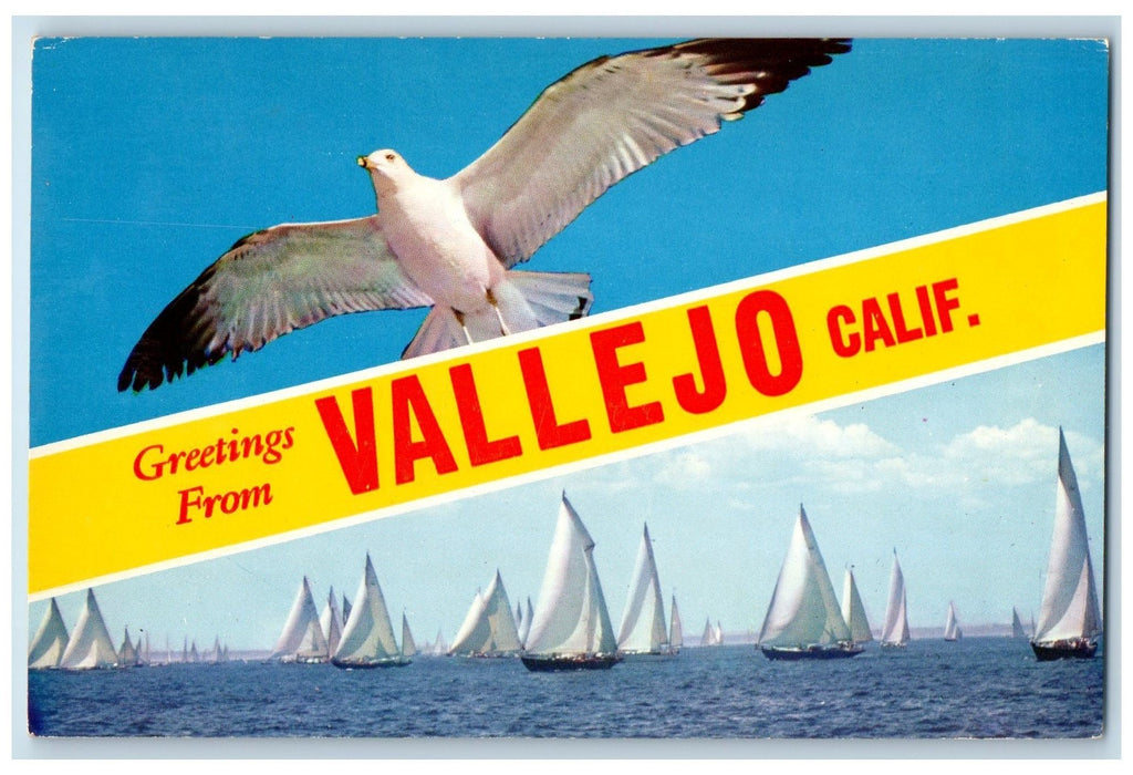 c1950 Greetings From Vallejo Sailboat Sailing Competition White Bird CA Postcard