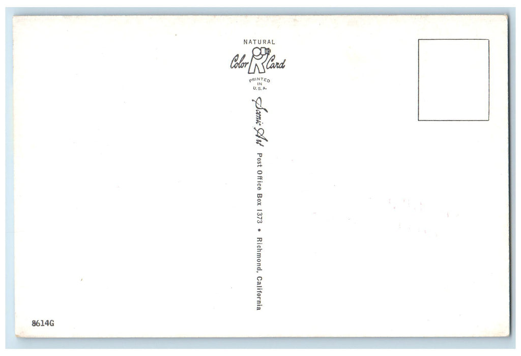 c1950 Greetings From Vallejo Sailboat Sailing Competition White Bird CA Postcard