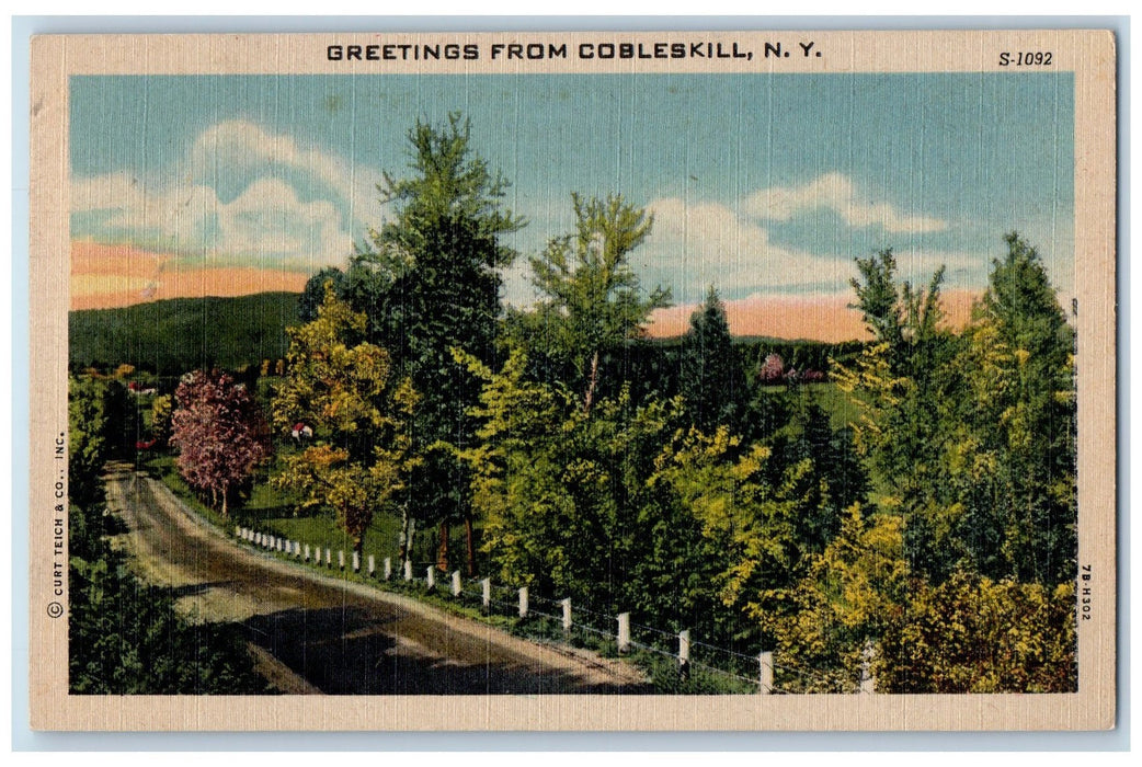 1945 Greetings From Cobleskill Scene New York NY Posted Vintage Trees Postcard